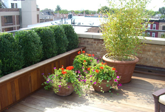 JRA Private Roof Deck Planters